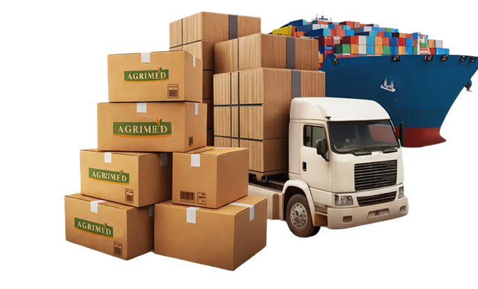 Transport et logistique